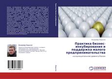 Bookcover of Практика бизнес-инкубирования и поддержка малого предпринимательства