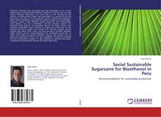 Copertina di Social Sustainable Sugarcane for Bioethanol in Peru