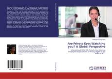 Copertina di Are Private Eyes Watching you? A Global Perspective