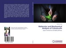Capa do livro de Molecular and Biochemical Analysis of Calreticulin 