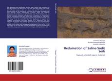 Capa do livro de Reclamation of Saline-Sodic Soils 