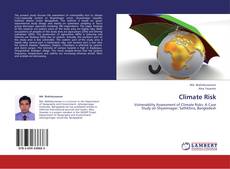 Buchcover von Climate Risk