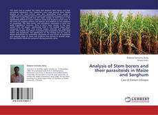 Обложка Analysis of Stem borers and their parasitoids in Maize and Sorghum
