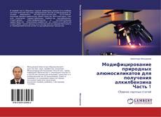 Bookcover of Модифицирование природных алюмосиликатов для получения алкилбензина Часть 1