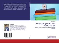 Обложка Justice Delayed Is Justice Denied Principle