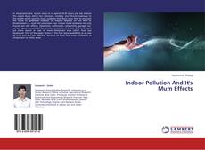 Buchcover von Indoor Pollution And It's Mum Effects