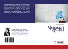 Buchcover von В.Брюсов и его литературное окружение