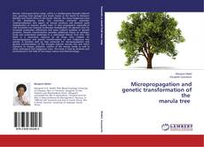 Bookcover of Micropropagation and genetic transformation of the    marula tree