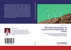Buchcover von Microbial Consortium to Improve the Productivity of Pulses