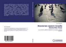 Bookcover of Экология сизого голубя   (Сolumba livia)