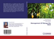 Copertina di Management Of Mango Die Back