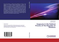 Bookcover of Gagauzia in the Political Process of the Republic of Moldova