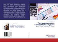 Bookcover of Предварительное планирование аудита
