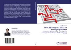 Couverture de Sales Strategy of SMEs in Emerging Market