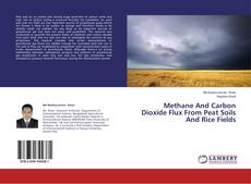 Buchcover von Methane And Carbon Dioxide Flux From Peat Soils And Rice Fields