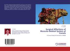 Buchcover von Surgical Affections of Musculo-Skeletal System of Camels