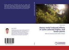 Heavy metal induced effects in some selected higher and lower plants kitap kapağı