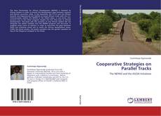 Bookcover of Cooperative Strategies on Parallel Tracks