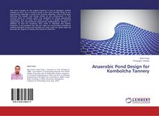 Copertina di Anaerobic Pond Design for Kombolcha Tannery