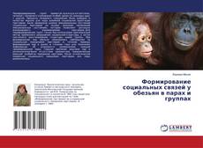 Buchcover von Формирование социальных связей у обезьян в парах и группах