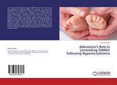 Capa do livro de Adenosine’s Role in Controlling CMRO2 following Hypoxia-Ischemia 