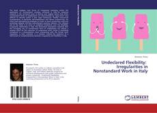 Couverture de Undeclared Flexibility: Irregularities in Nonstandard Work in Italy