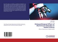 Histopathlogical Effect of Aluminium Chloride on Rabbit Kidney的封面