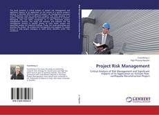Capa do livro de Project Risk Management 