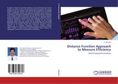 Copertina di Distance Function Approach to Measure Efficiency