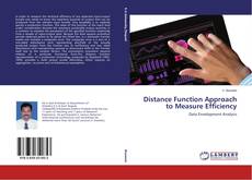 Buchcover von Distance Function Approach to Measure Efficiency