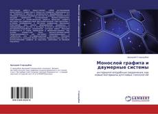 Монослой графита и двумерные системы kitap kapağı