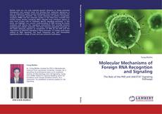 Buchcover von Molecular Mechanisms of Foreign RNA Recogntion and Signaling