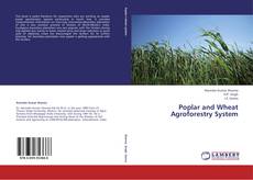 Borítókép a  Poplar and Wheat Agroforestry System - hoz