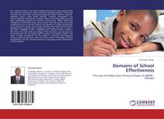 Domains of School Effectiveness kitap kapağı