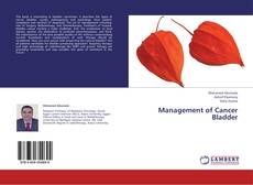 Copertina di Management of Cancer Bladder