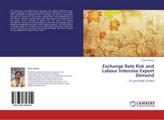 Buchcover von Exchange Rate Risk and Labour Intensive Export Demand