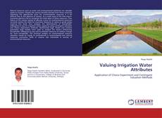 Buchcover von Valuing Irrigation Water Attributes
