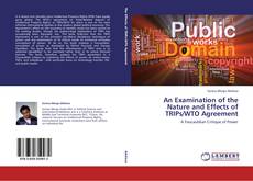 Copertina di An Examination of the Nature and Effects of TRIPs/WTO Agreement
