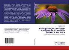 Buchcover von Верификация гипотезы М.Фарадея о силовых линиях в космосе