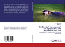 Buchcover von Buffalo calf management on reproductive and performance of cow
