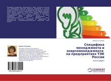 Couverture de Специфика менеджмента и энергоменеджмента   на предприятиях ТЭК России