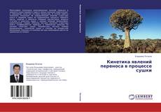 Copertina di Кинетика явлений переноса в процессе сушки