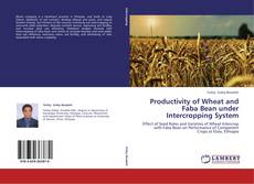 Buchcover von Productivity of Wheat and Faba Bean under Intercropping System