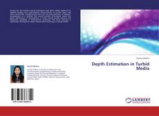 Buchcover von Depth Estimation in Turbid Media