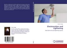 Bookcover of Electrocution and Lightening