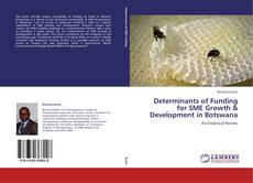 Copertina di Determinants of Funding for SME Growth & Development in Botswana