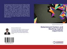 Determinant Factors and Working Capital requirments kitap kapağı