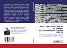 Прессованный кирпич на основе мелоподобных горных пород的封面
