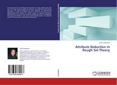 Copertina di Attribute Reduction in Rough Set Theory