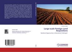 Couverture de Large-scale Foreign Land Acquisitions